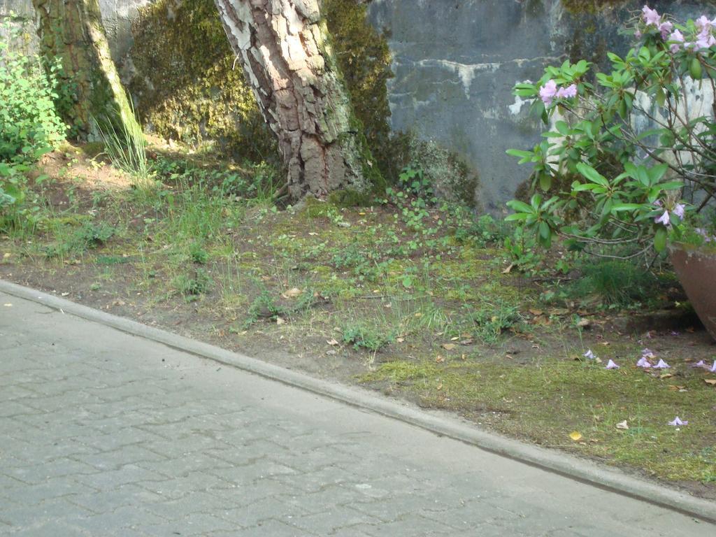 Hotel Gartenhof Mühlheim المظهر الخارجي الصورة